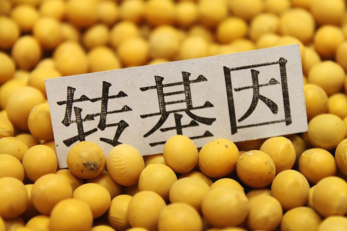 食品轉基因檢測.jpg
